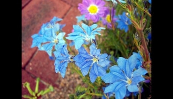 Un moment de détente